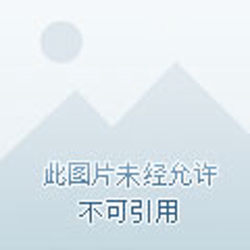 应急管理咨询市场趋势与发展趋势